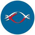 真核生物無(wú)參考基因組的轉(zhuǎn)錄組分析平臺(tái)