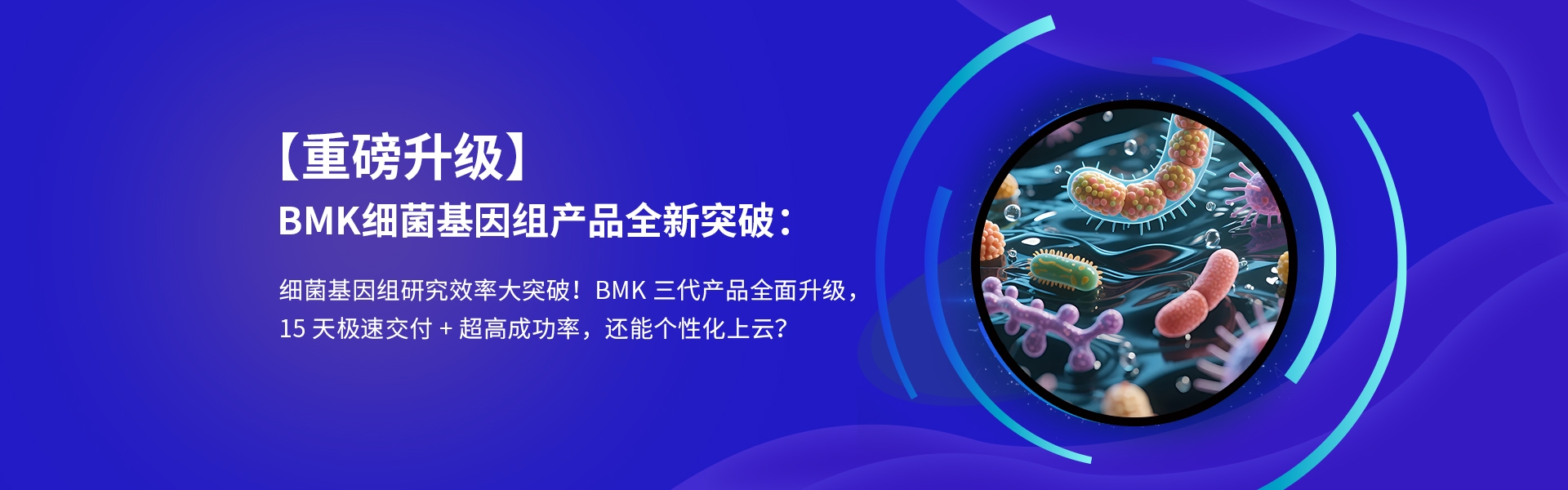 細(xì)菌基因組升級